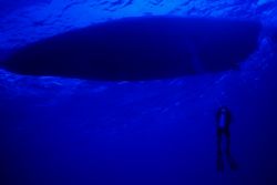 Safety Stop - taken in Cozumel of a diver at his safty st... by Michael Shope 